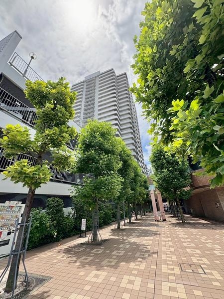 谷塚コリーナ・ライオンズタワー谷塚
