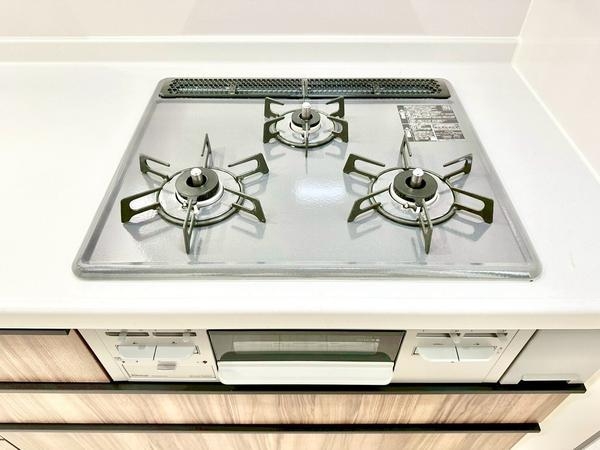 八潮市南川崎　新築一戸建て　3期1号棟