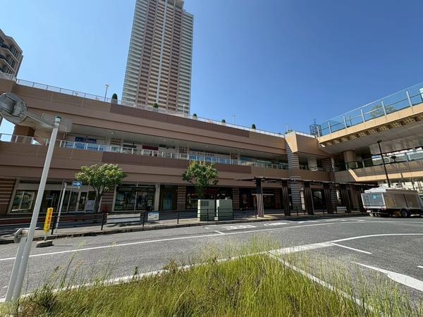市川市市川南3丁目 新築一戸建て(市川駅)