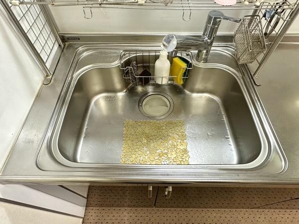 ライオンズマンション草加東