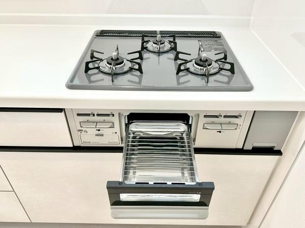 草加市苗塚町　新築一戸建て　第1期15号棟