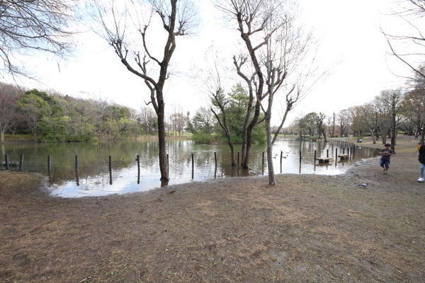 草加市青柳８丁目の土地(そうか公園)