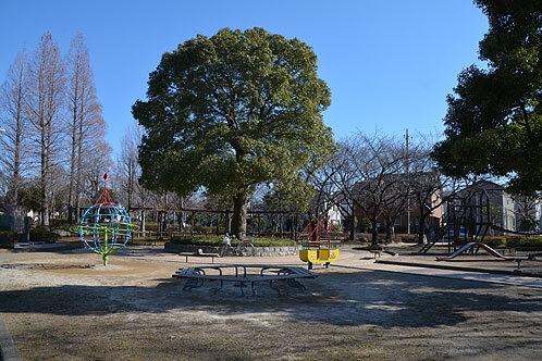 八潮伊草団地8号棟(松之木公園)