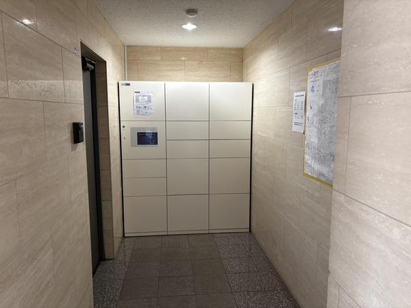 ベルドゥムール川口東
