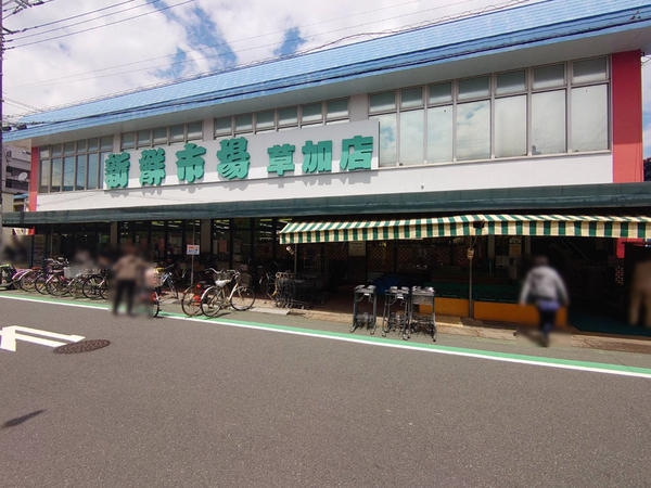 草加市瀬崎5丁目の中古一戸建て(新鮮市場 草加店)