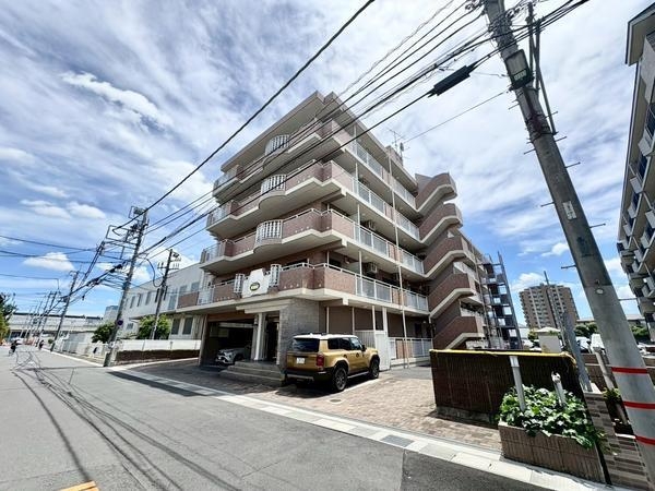 ベルドゥムール草加新田