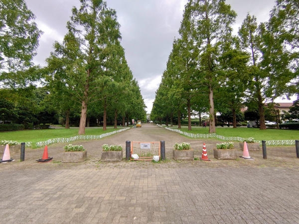 草加市青柳6丁目　新築一戸建て　20期　1号棟(そうか公園)