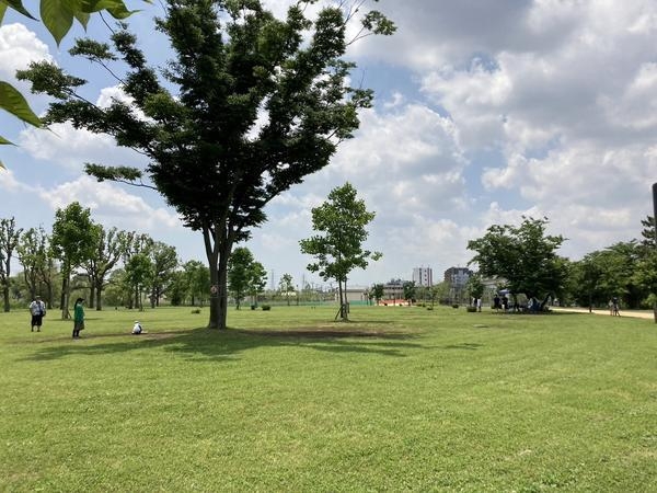 足立区西伊興１丁目の土地(舎人公園)