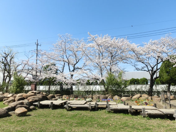 草加市青柳2丁目　新築一戸建て　01期(青柳公園)