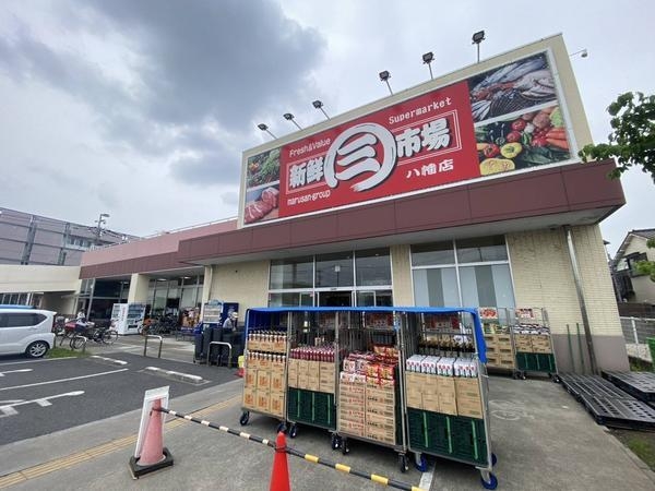 草加市八幡町　新築一戸建て　1期(新鮮市場　八幡店)