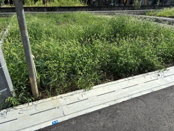 草加市草加2丁目　新築一戸建て　2号棟