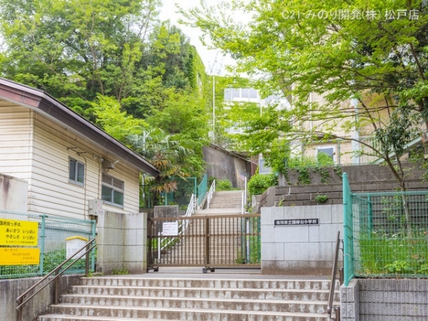 市川市国府台５丁目の土地(市川市立国府台小学校)