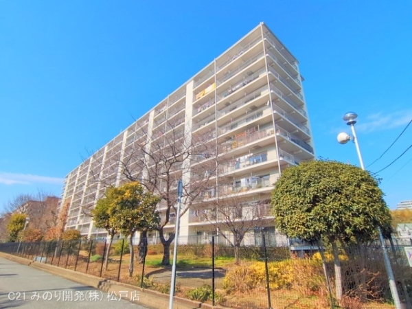 新松戸ハイツ