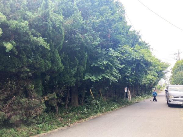 龍ケ崎市貝原塚町の土地