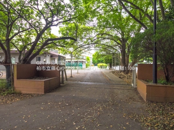 柏市藤心1丁目の新築一戸建(柏市立藤心小学校)