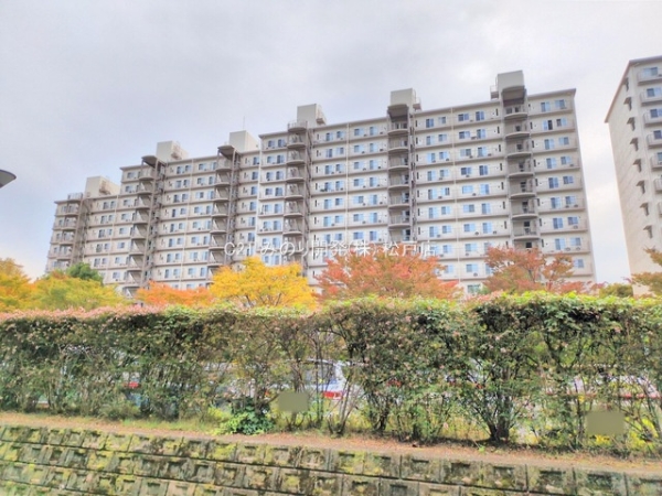 サンライトパストラル五番街D棟