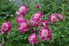 越谷市宮前１丁目の土地(越谷市緑の森公園)