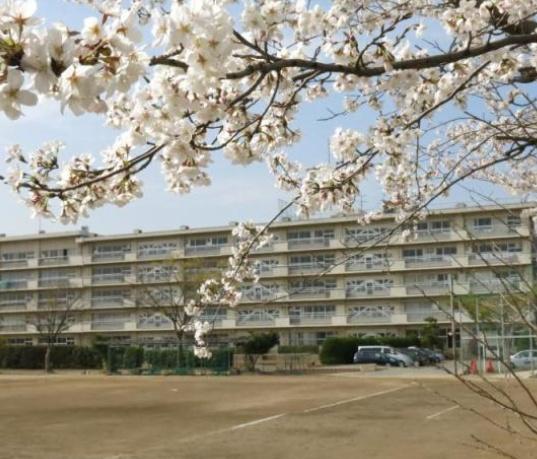 越谷市大字大泊の土地(越谷市立平方中学校)