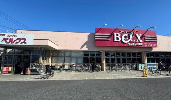 越谷市大字大泊の土地(ベルクスせんげん台東店)
