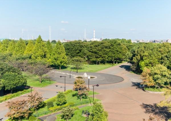 足立区古千谷本町１丁目の土地(舎人公園)
