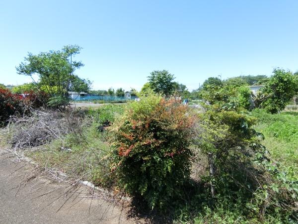 上尾市大字上野の土地