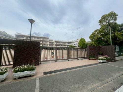 尼崎市稲葉荘１丁目の土地(尼崎市立大島小学校)