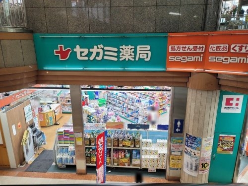 エスリード伊丹南本町(ココカラファインドラッグセガミ塚口店)