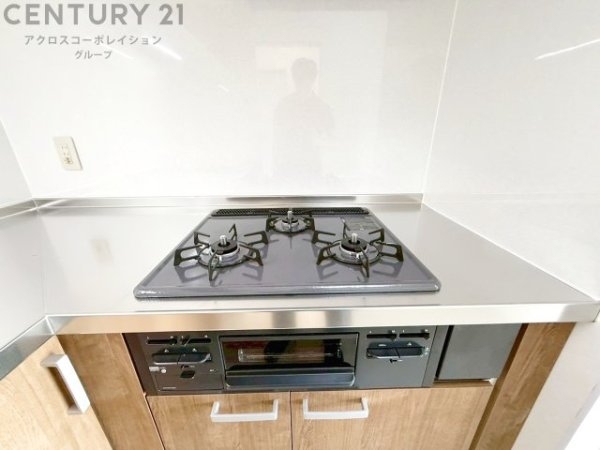 伊丹レックスマンション(その他)