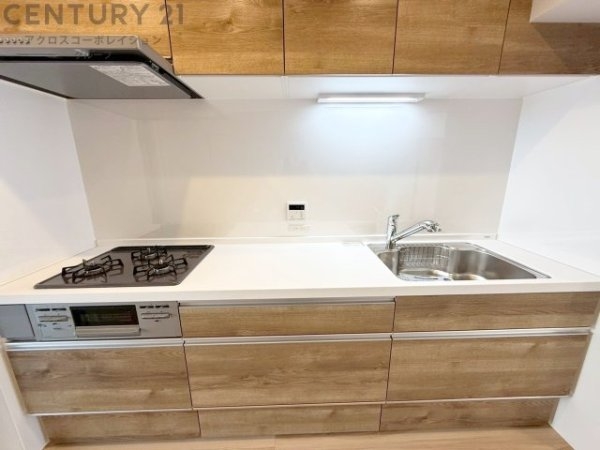 パレ武庫川プルミエールⅢ2号棟(その他)