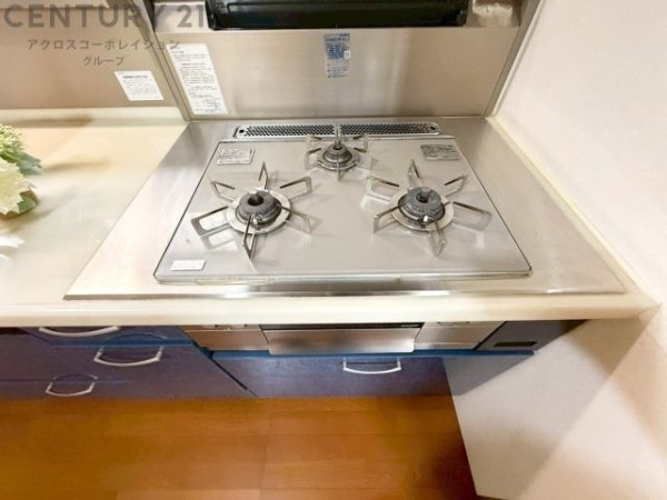 宝塚市平井山荘の中古一戸建て