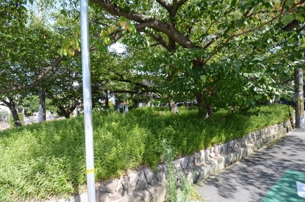 朝日プラザ逆瀬川南(千種3丁目公園)