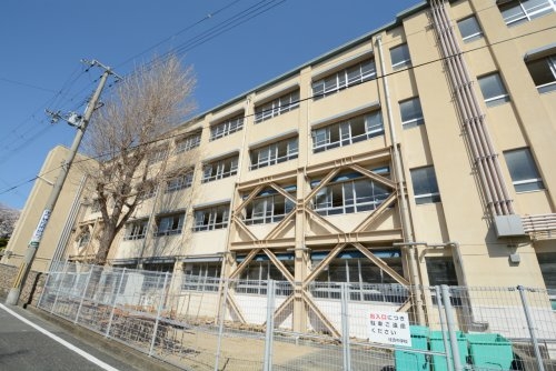 神戸市東灘区住吉山手3丁目の土地(神戸市立住吉中学校)