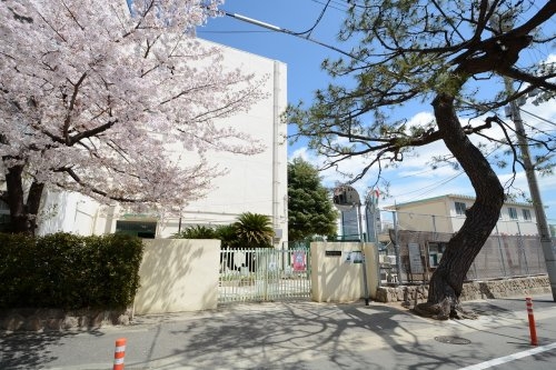 神戸市東灘区御影山手5丁目の土地(神戸市立御影中学校)