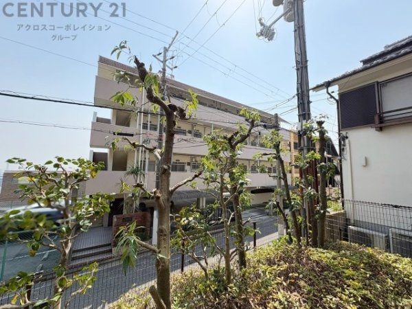 グランステイツ六甲・桜通