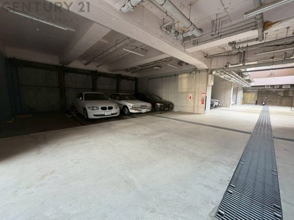 ステイツ住吉サンクチュアリ・スクエア(駐車場)
