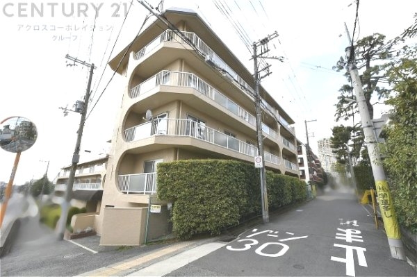 スターハイツ住吉川