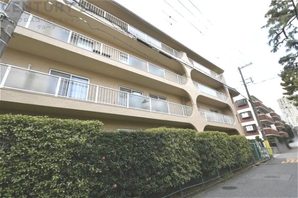 スターハイツ住吉川