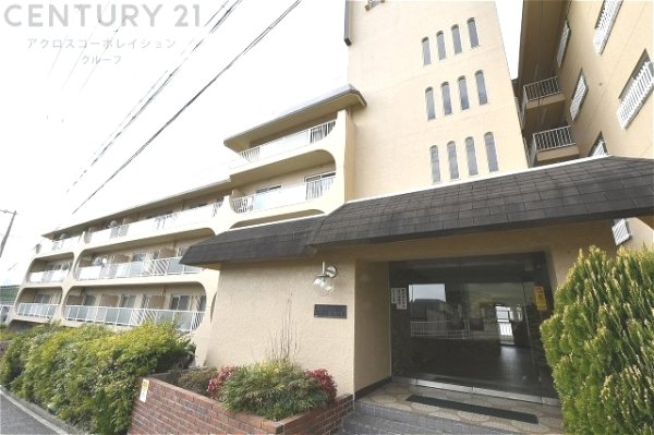 スターハイツ住吉川