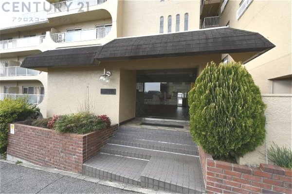 スターハイツ住吉川