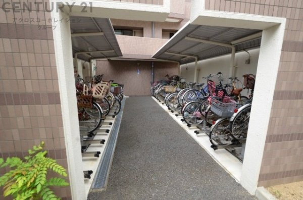 ネオ甲子園