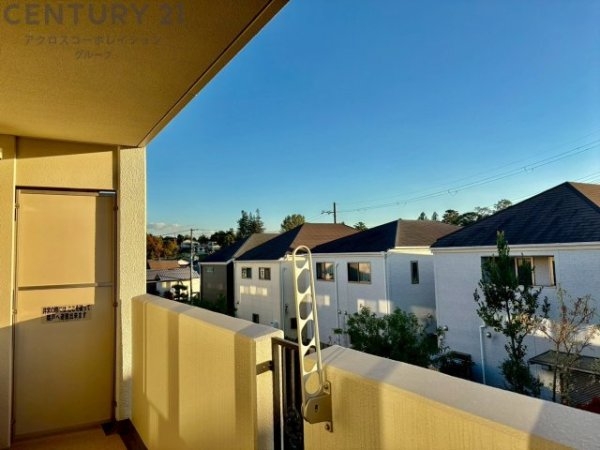 ネバーランド逆瀬川野上