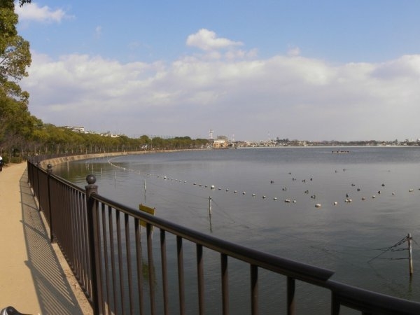 伊丹市東野１丁目新築一戸建て(瑞ケ池公園)