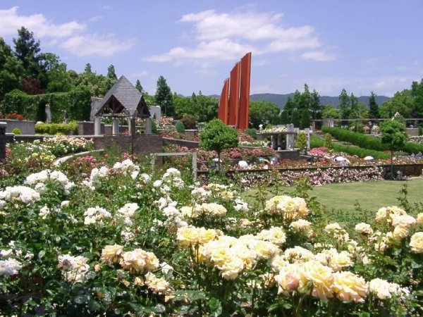 宝塚市中筋7丁目の中古一戸建て(荒牧バラ公園)