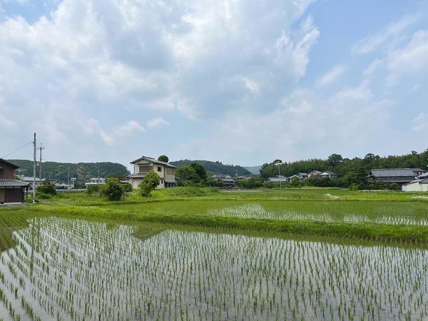 南丹市八木町大薮上中島の土地