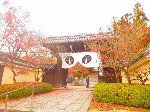 長岡京市粟生弁天芝の土地(光明寺)