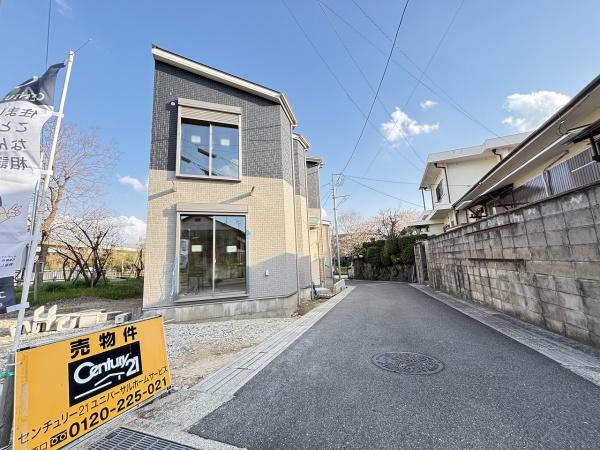 3号地