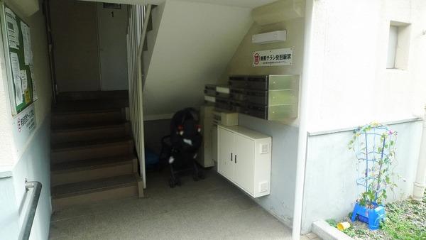 竹の台団地　E1棟