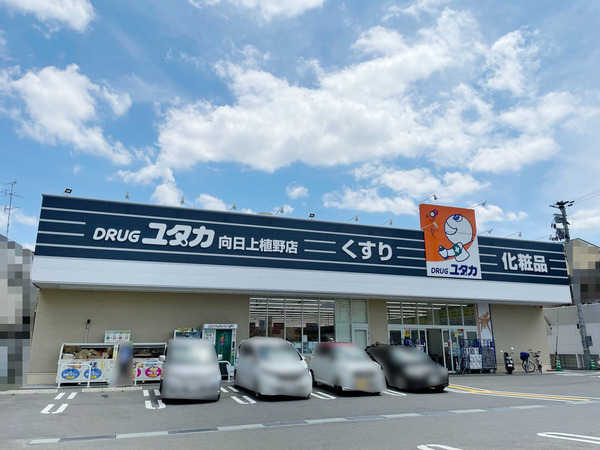 グランド日光ハイツ西向日(ドラッグユタカ向日上植野店)