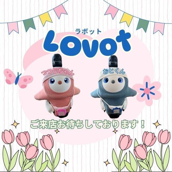 長岡京市今里樋ノ尻の土地