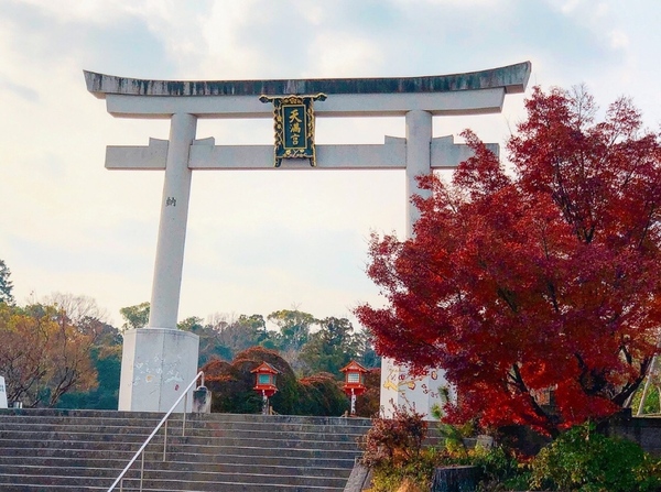 長岡京市天神５丁目の土地(長岡天満宮)